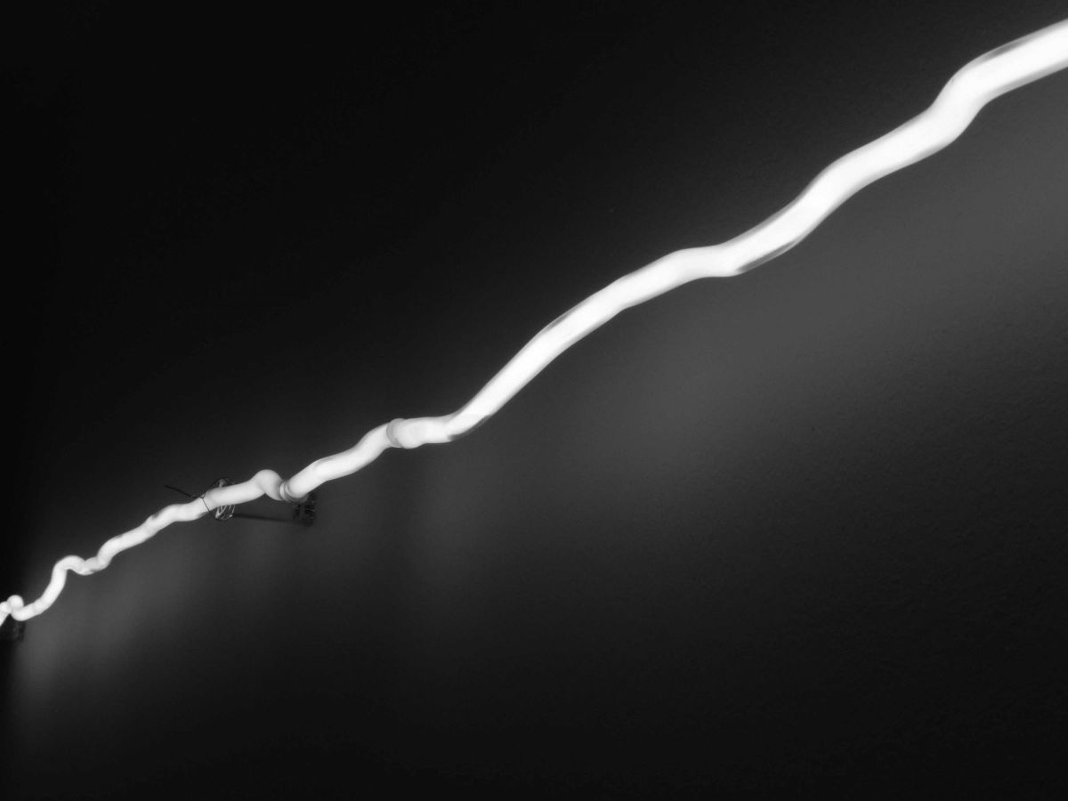 John Cornu - Phénix