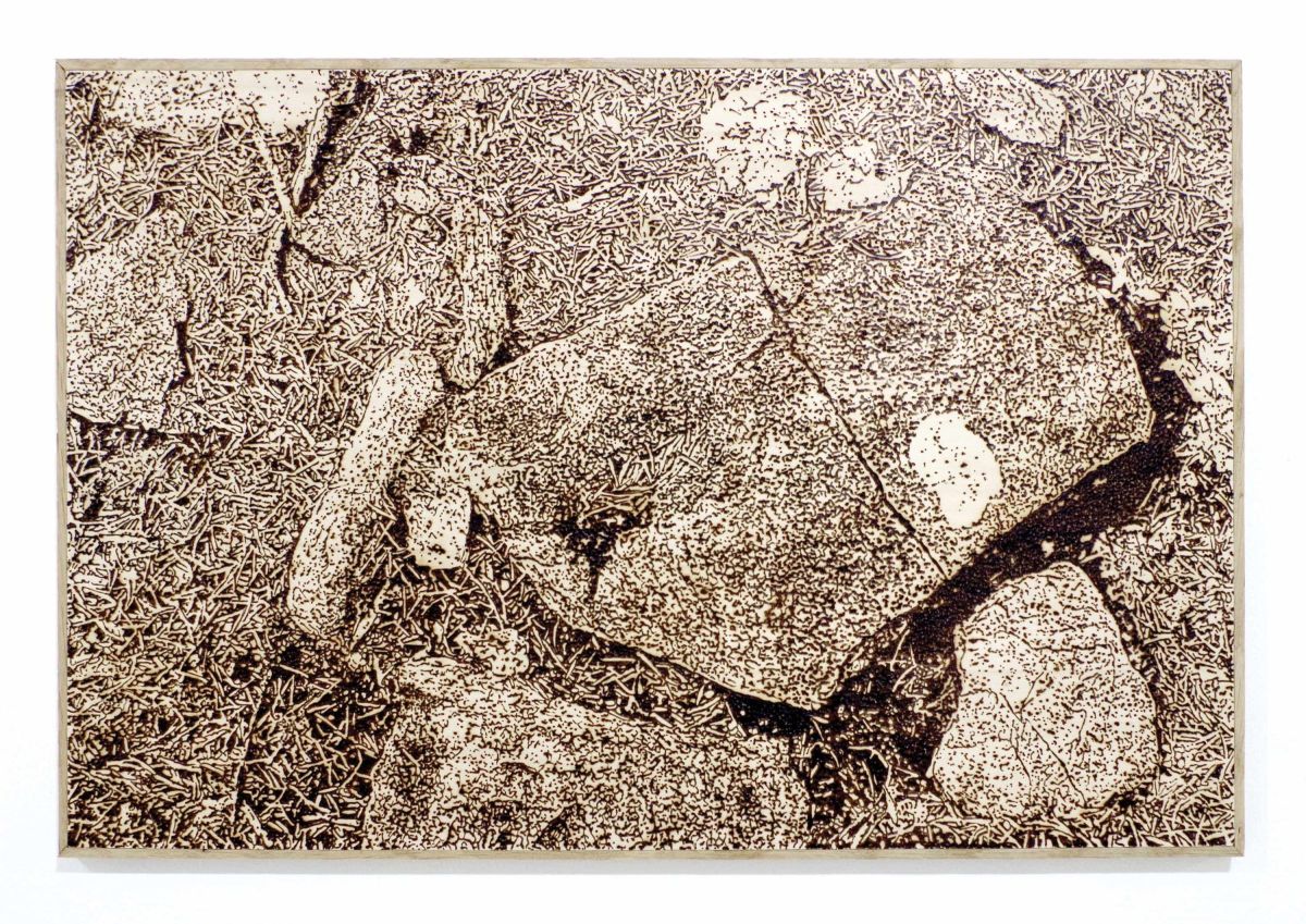 Terres brûlées (5) - 2023 - Pyrogravure sur bois - 40x60 cm Collection Artothèque d’Angers
