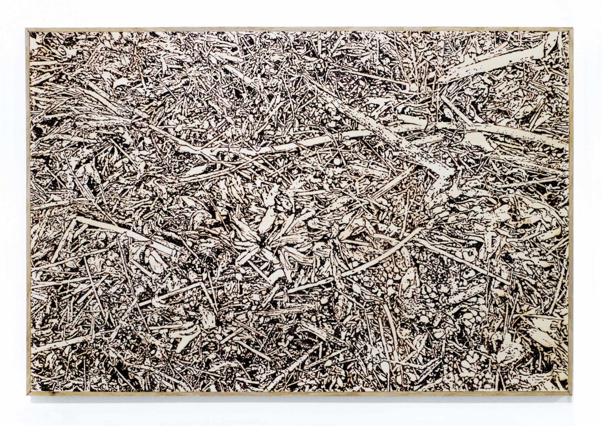 Terres brûlées (6) - 2023 - Pyrogravure sur bois - 40x60 cm