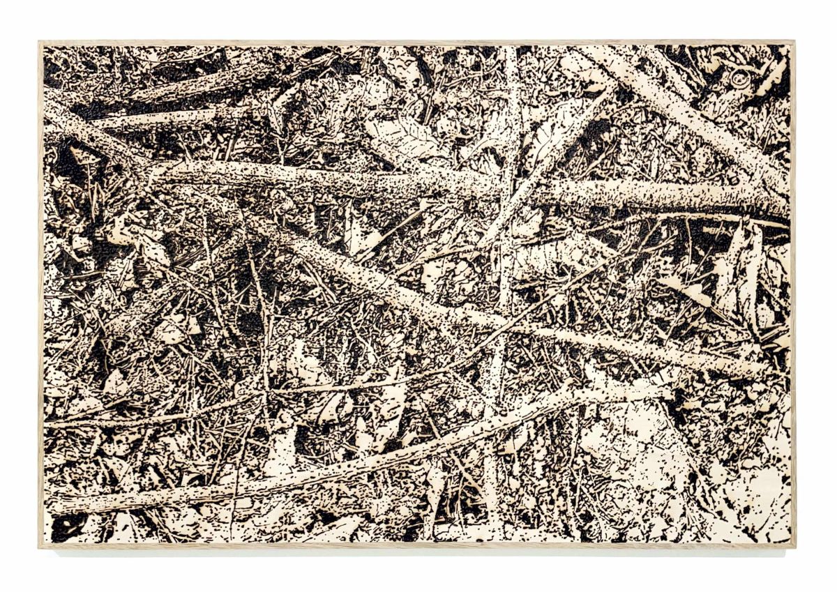 Terres brûlées (4) - 2023 - Pyrogravure sur bois - 40x60 cm - Collection Artothèque/galerie Pierre Tal Coat – Hennebont