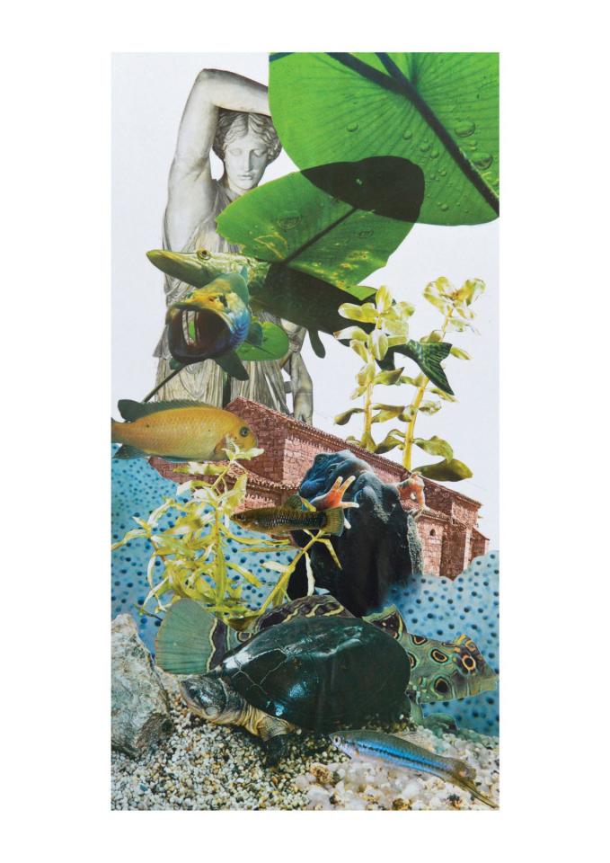 Frog’s Love, 2017. Collage, 36,9 x 18,9 cm
